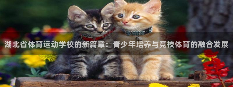 必发官方正版app集团官网首页网址:湖北省体育运动学校的新篇