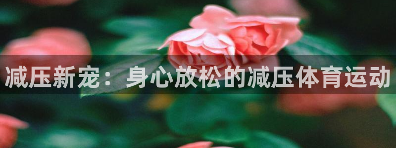 必发官方正版app集团官网首页网址:减压新宠:身心放松的减压