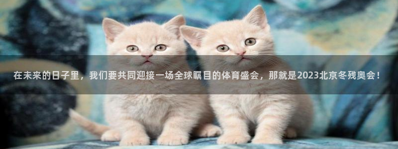 必发官网下载平台注册要钱吗安全吗:在未来的日子里,我们要共同